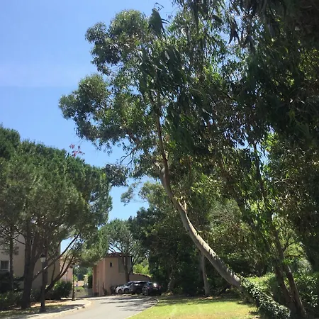 Location Azur Sud Gassin